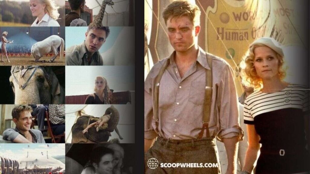 water for elephants summaries