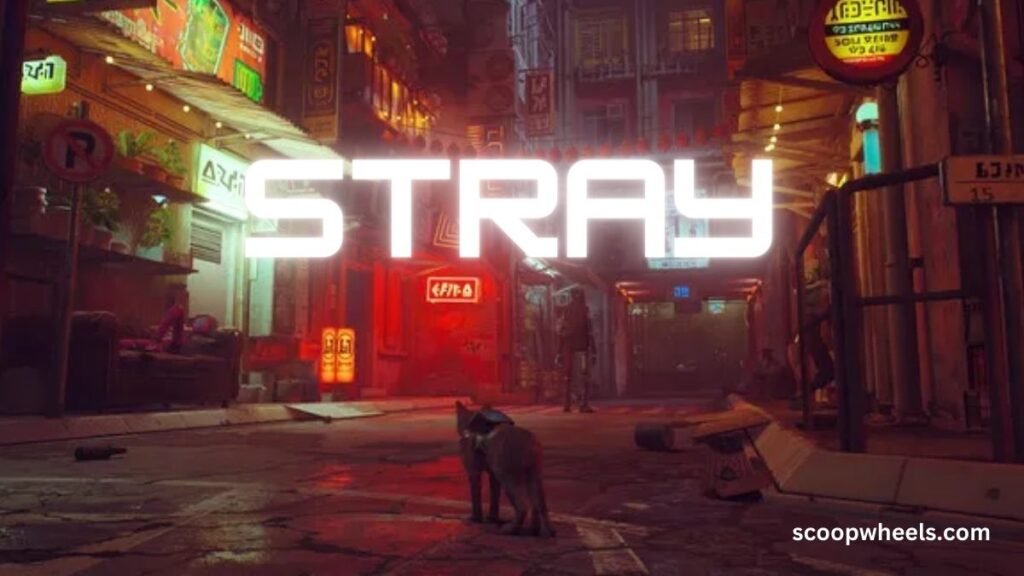 stray