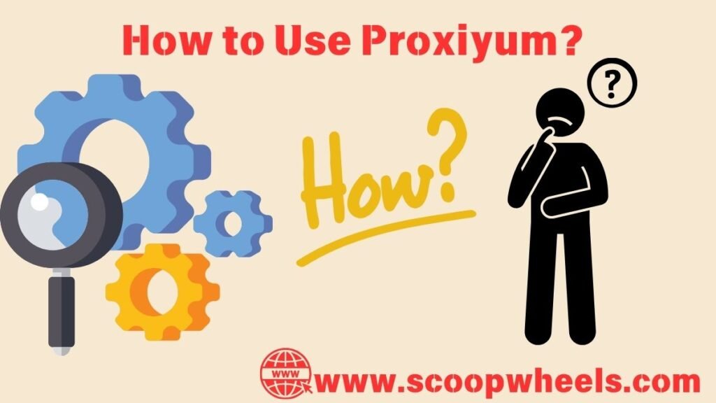 How to Use Proxiyum?