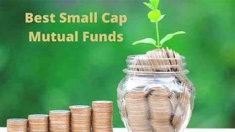 Top 5 Small Cap Mutual Funds to Invest in 2024