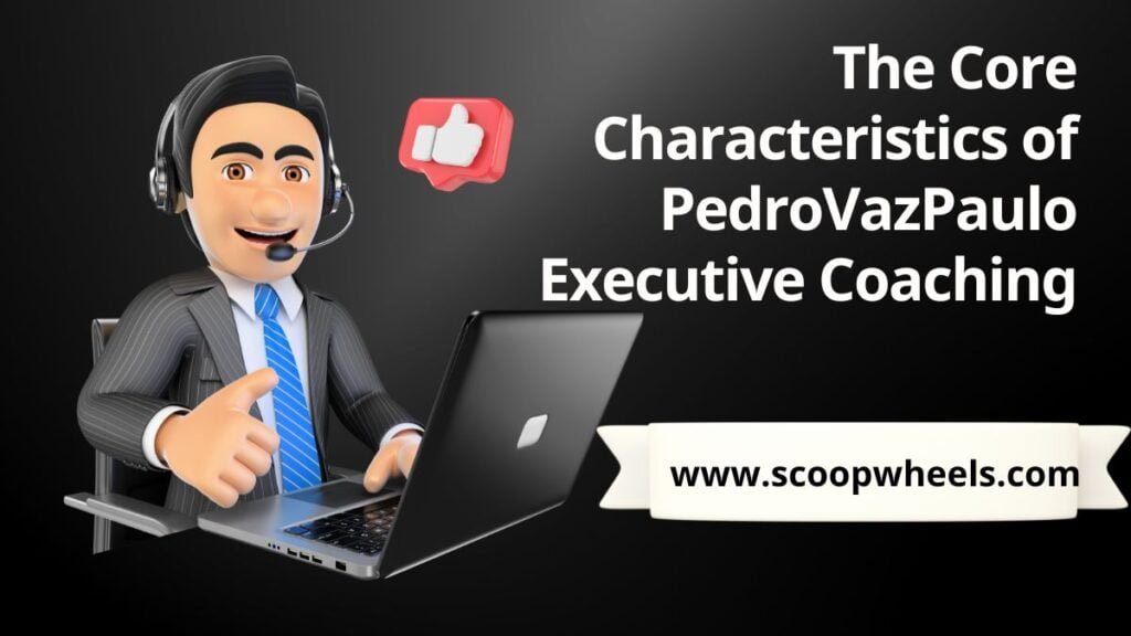 The Core Characteristics of PedroVazPaulo Executive Coaching